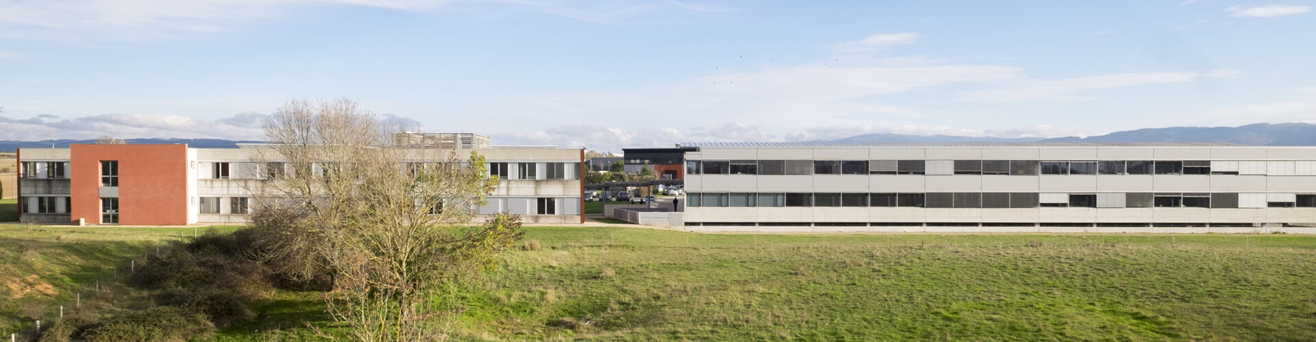 pole emploi bannière