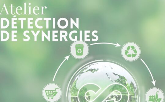 Atelier Détection de Synergies - mercredi 25 juin